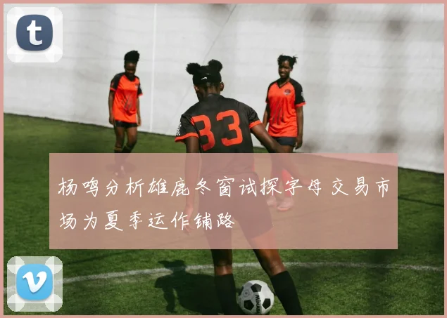 杨鸣分析雄鹿冬窗试探字母交易市场为夏季运作铺路