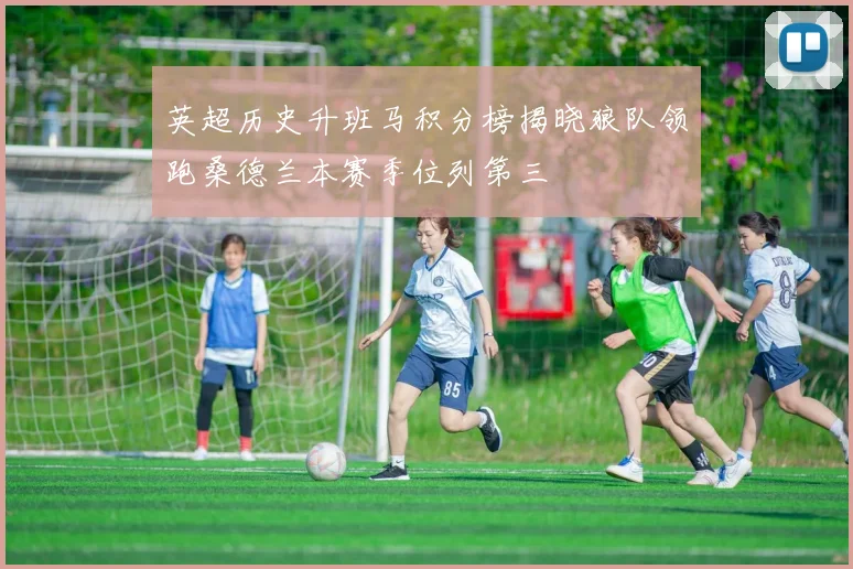 英超历史升班马积分榜揭晓狼队领跑桑德兰本赛季位列第三