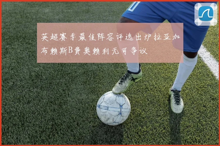 英超赛季最佳阵容评选出炉拉亚加布赖斯B费奥赖利无可争议